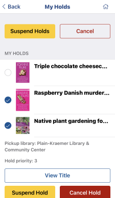 Screenshot of suspending holds